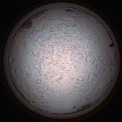 capture_202112060805_1448.Png