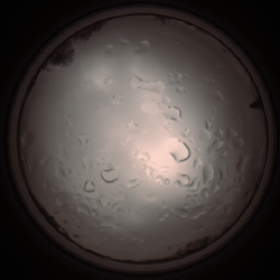 capture_202112061419_1822.Png