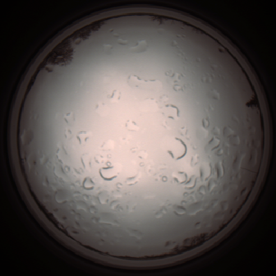 capture_202112061220_1703.Png