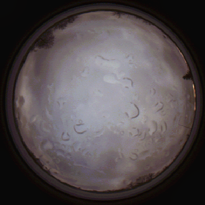 capture_202112061504_1867.Png