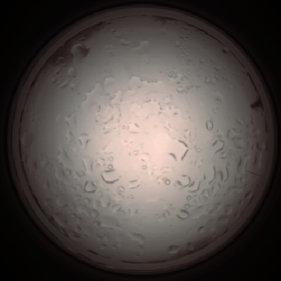 capture_202112061026_1589.Png