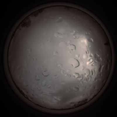 capture_202112061356_1799.Png