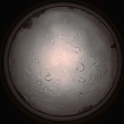 capture_202112061436_1839.Png