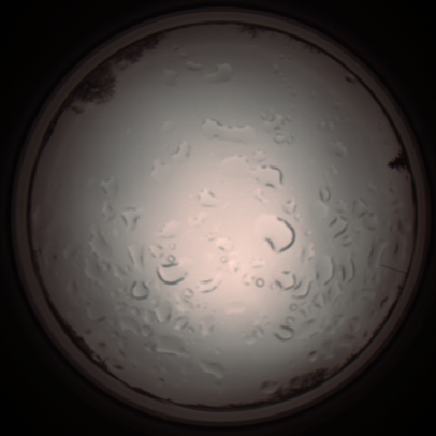 capture_202112061242_1725.Png