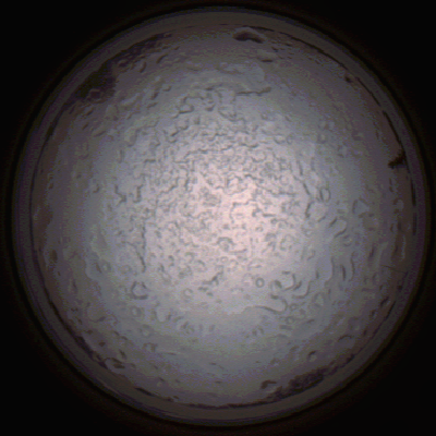 capture_202112060804_1447.Png