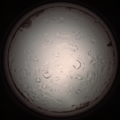 capture_202112061112_1635.Png