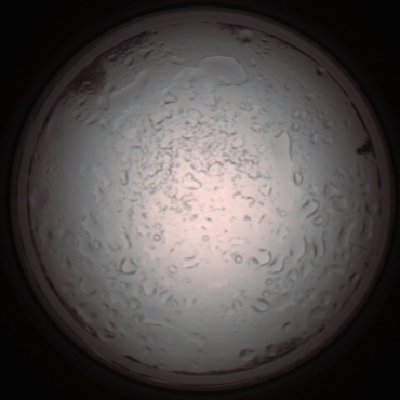 capture_202112060947_1550.Png