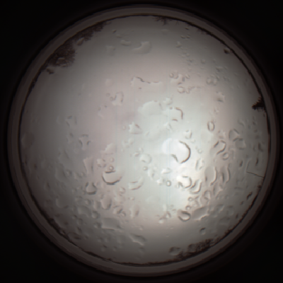 capture_202112061129_1652.Png