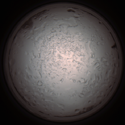 capture_202112060921_1524.Png