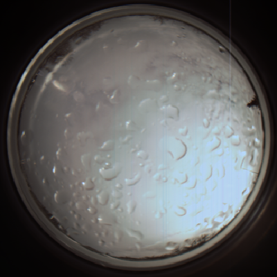 capture_202112061135_1658.Png