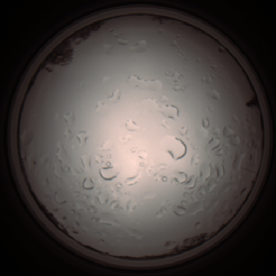 capture_202112061204_1687.Png