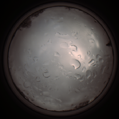 capture_202112061327_1770.Png