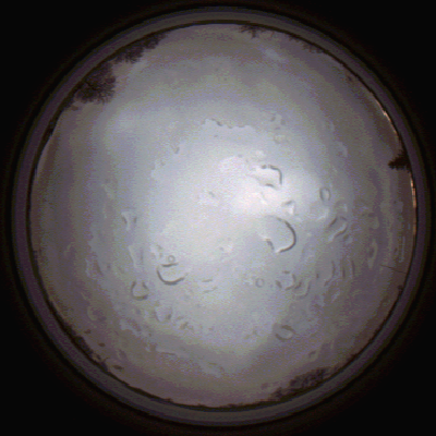 capture_202112061450_1853.Png