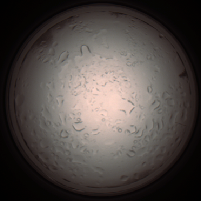 capture_202112061018_1581.Png