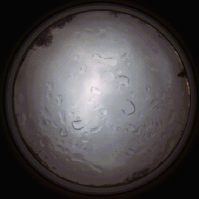 capture_202112061451_1854.Png