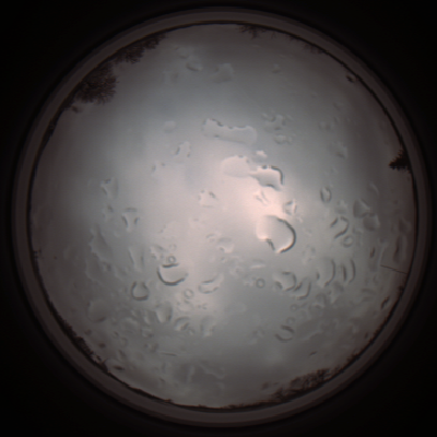 capture_202112061335_1778.Png