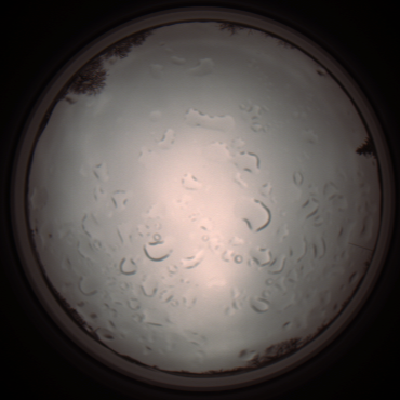 capture_202112061300_1743.Png