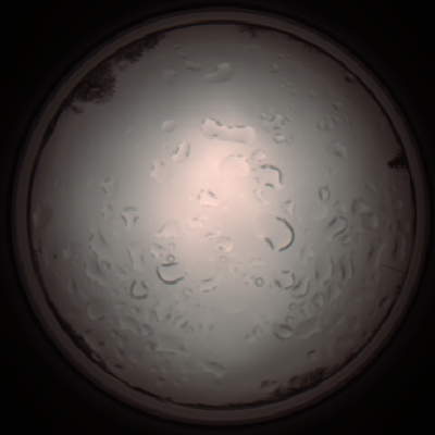 capture_202112061246_1729.Png