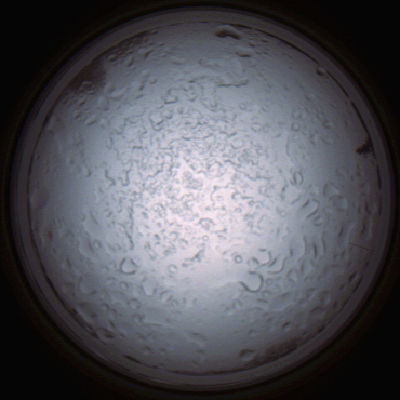 capture_202112060855_1498.Png