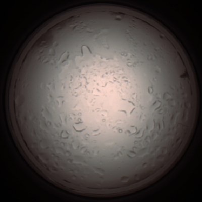 capture_202112061017_1580.Png