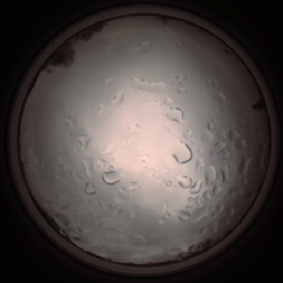 capture_202112061401_1804.Png