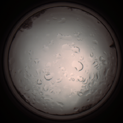 capture_202112061259_1742.Png