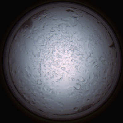 capture_202112060854_1497.Png