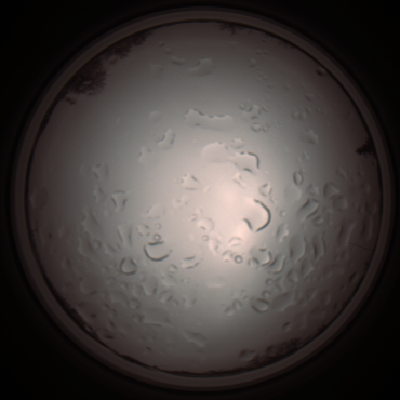 capture_202112061218_1701.Png