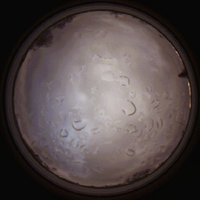 capture_202112061503_1866.Png