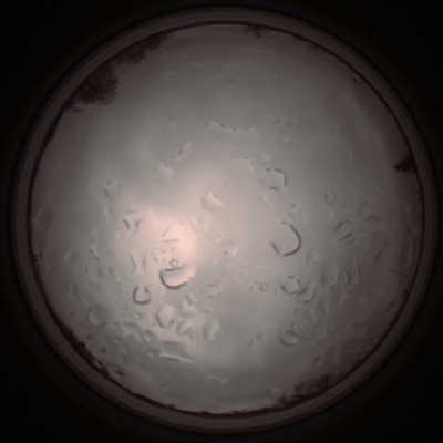 capture_202112061430_1833.Png