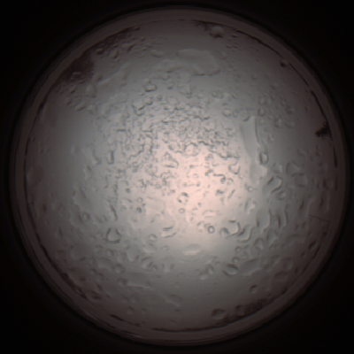 capture_202112060940_1543.Png