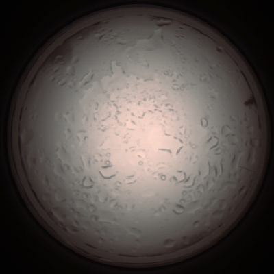 capture_202112061014_1577.Png