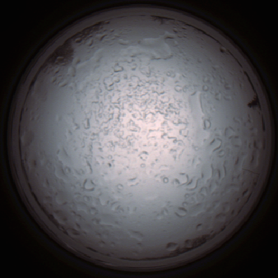 capture_202112060935_1538.Png
