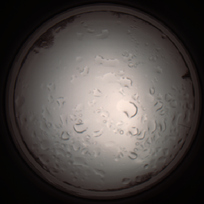 capture_202112061120_1643.Png