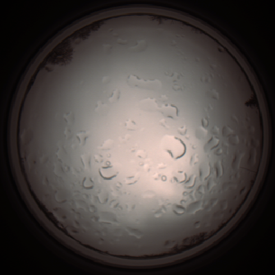 capture_202112061247_1730.Png