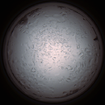 capture_202112060937_1540.Png