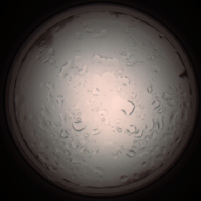 capture_202112061036_1599.Png