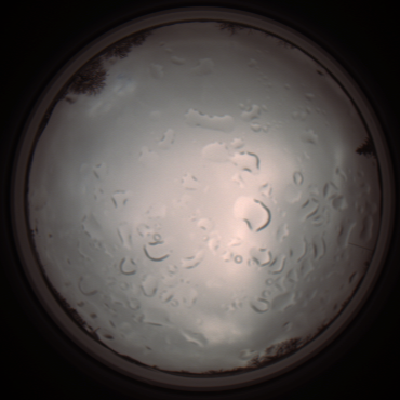 capture_202112061319_1762.Png