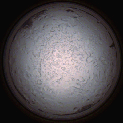 capture_202112060814_1457.Png