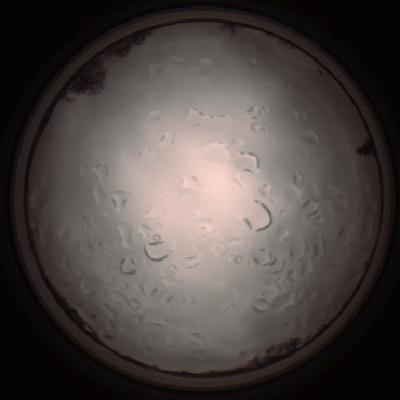 capture_202112061423_1826.Png