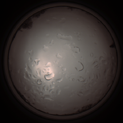 capture_202112061405_1808.Png