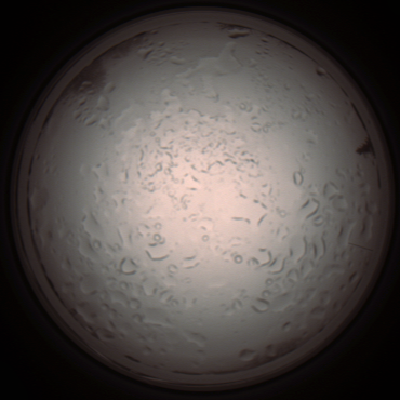 capture_202112061007_1570.Png