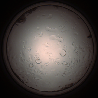 capture_202112061153_1676.Png