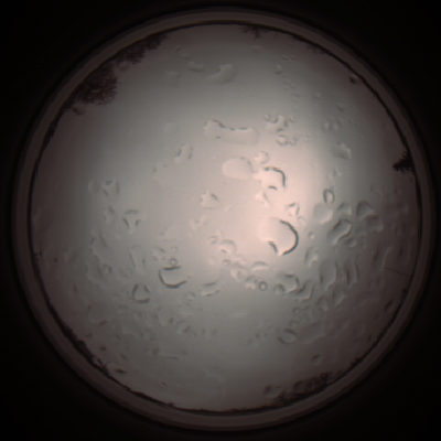 capture_202112061249_1732.Png