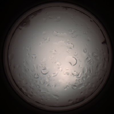 capture_202112061126_1649.Png