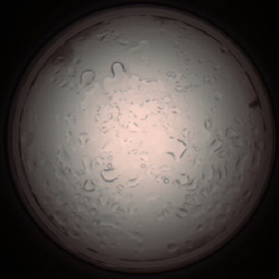 capture_202112061021_1584.Png