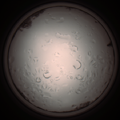capture_202112061201_1684.Png