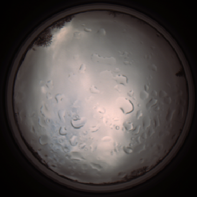 capture_202112061358_1801.Png