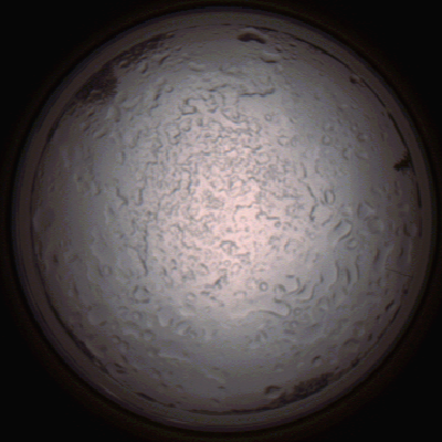 capture_202112060756_1439.Png