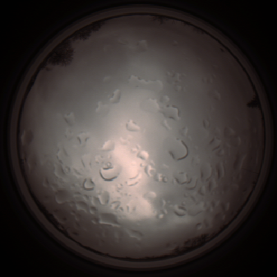 capture_202112061420_1823.Png